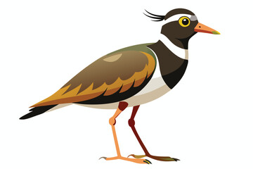 Stylized Illustration of a Northern Lapwing Bird with Distinctive Plumage and Yellow Eyes Standing on the Ground