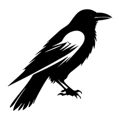 Stylized Crow Raven Bird Vector Illustration