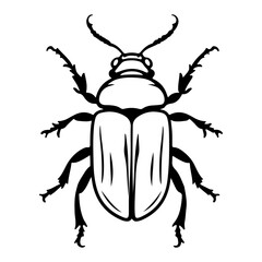 Classic Beetle Insect Top View Vector