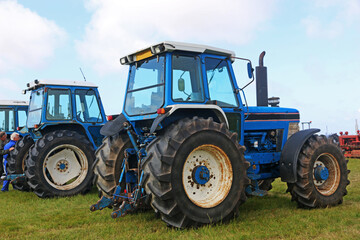 Vintage tractors standing in a field	