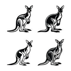 A set of kangaroo illustrations on a white background
