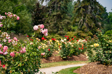 View of Gairloch Gardens in Oakville.