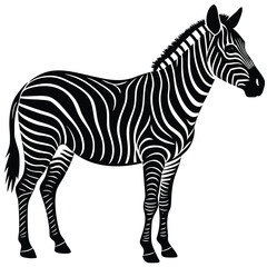 Obraz premium a zebra in side profile with detailed body shape and upright mane, minimalist vector illustration isolated on white background