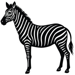Fototapeta premium a zebra in side profile with detailed body shape and upright mane, minimalist vector illustration isolated on white background