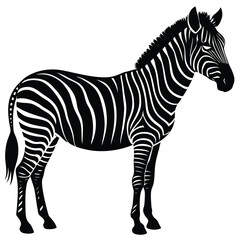 Obraz premium a zebra in side profile with detailed body shape and upright mane, minimalist vector illustration isolated on white background