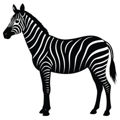 Obraz premium a zebra in side profile with detailed body shape and upright mane, minimalist vector illustration isolated on white background