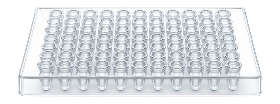 PCR plate with 96 wells, each filled with clear reaction mixture