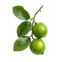 Two Fresh Green Limes with Leaves on a Branch on transparent background