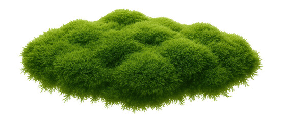 Moss clump with a dense, velvety texture and bright green color