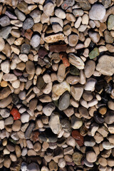 Close-up view of dry multicolored beach pebbles in natural sunlight. Suitable as a seamless texture or nature background.