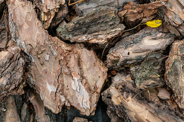 Close up view of a pile of brown and gray wood bark pieces, showing varying textures and colors....