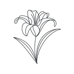 Elegant Lily Flower Line Art Illustration: A Delicate Botanical Design for Modern Decor, Invitations, and Creative Projects - Single Continuous Line Drawing Style