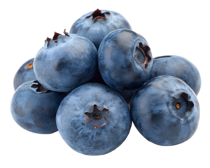 Fresh blueberries