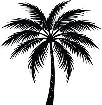 Coconut tree t shirt design silhouette and vector Simple and elegant coconut outline for tees