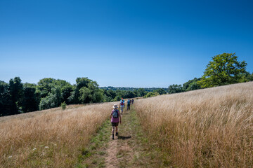 Hiking in the countryside