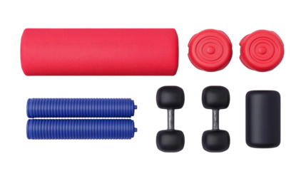 Red and blue foam rollers, black dumbbells, and a black cushion arranged in a grid pattern.