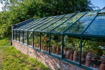 greenhouse with plants