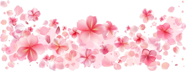 Delicate light pink sakura flowers flow. Wind swirls