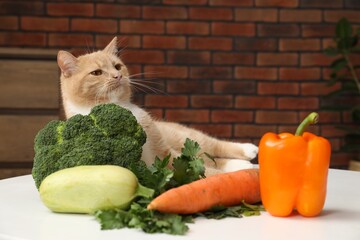 Cat and different vegetables on white table indoors. Pet's balanced diet
