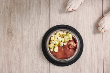 Dog and bowl with fresh natural products on floor, top view. Pet food