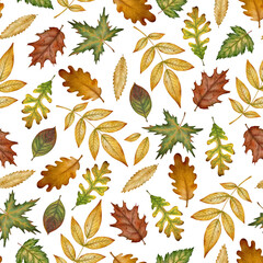 Seamless pattern with hand drawn watercolor autumn leaves on a transparent background. Perfect for autumn-themed designs, textile prints, packaging, scrapbook paper, digital backgrounds, stationery