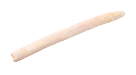 One raw asparagus spear isolated on white