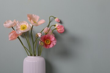Beautiful poppy flowers in vase on grey background, closeup. Space for text