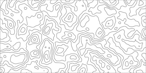 Abstract topographic contours map background and Geographic mountain relief. panorama view gradient black & white wave curve lines banner design. Topographic contour map. 