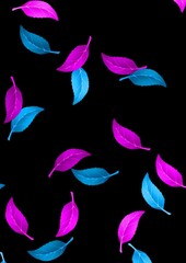 Colorful leaves pattern in pink and blue on black background  