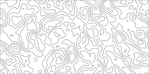 Abstract topographic contours map background and Geographic mountain relief. panorama view gradient black & white wave curve lines banner design. Topographic contour map. 