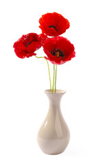 Bouquet of beautiful poppy flowers in vase isolated on white
