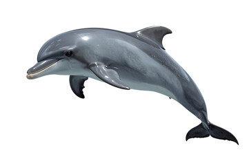 Obraz premium Dolphin leaping, ocean background, wildlife, marine