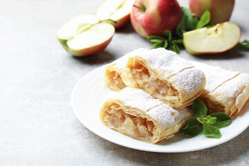 Pieces of tasty apple strudel with powdered sugar and mint on light grey table, closeup