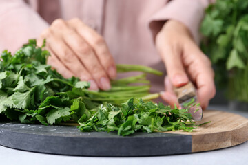 Woman cutting fresh green cilantro at light table, closeup