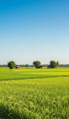 Idyllic rural life with rice fields, traditional huts, and clear skies.