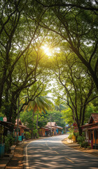 Obraz premium A village road flanked by trees and lit by golden morning sunlight in the tropics
