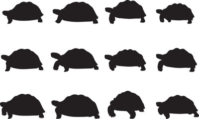 African Spurred Tortoise Solid Vector Silhouette