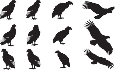Andean Condor Solid Vector Silhouette