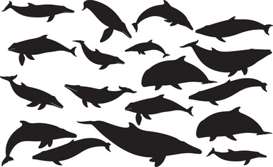 Baird's Beaked Whale Solid Vector Silhouette