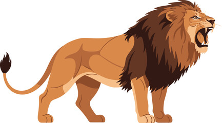 Majestic lion roaring with open mouth and sharp teeth on white background