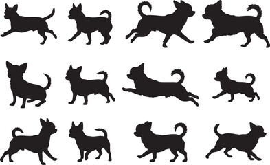 Chihuahua Solid Vector Silhouette
