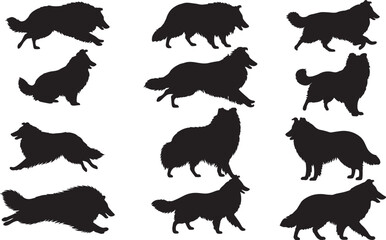 Collie Silhouettes Vector Pack