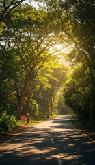 Fototapeta premium Long tropical village road flanked by trees under golden light