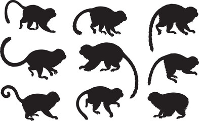 Golden Lion Tamarin Silhouettes Vector Pack