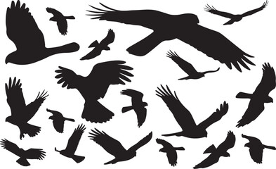 Harrier Silhouettes Vector Pack