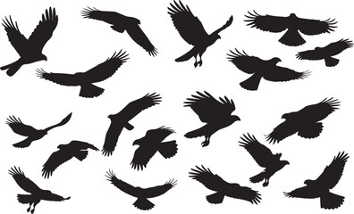 Harris's Hawk Silhouettes Vector Pack