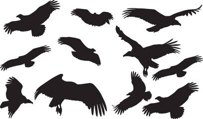 Hooded Vulture Silhouettes Vector Pack