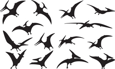 Pterodactyl Silhouettes Vector Pack © Qasim Farooq