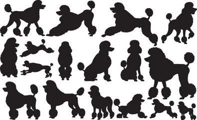 Poodle Silhouettes Vector Pack