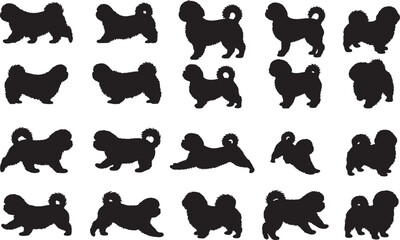 Shih Tzu Silhouettes Vector Pack